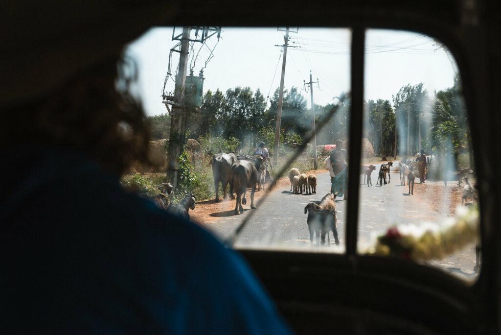 インド のカラフルなドレスインド,